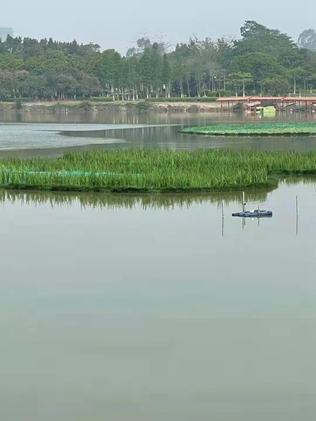 浮岛 