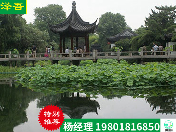 黑龙江水生植物园